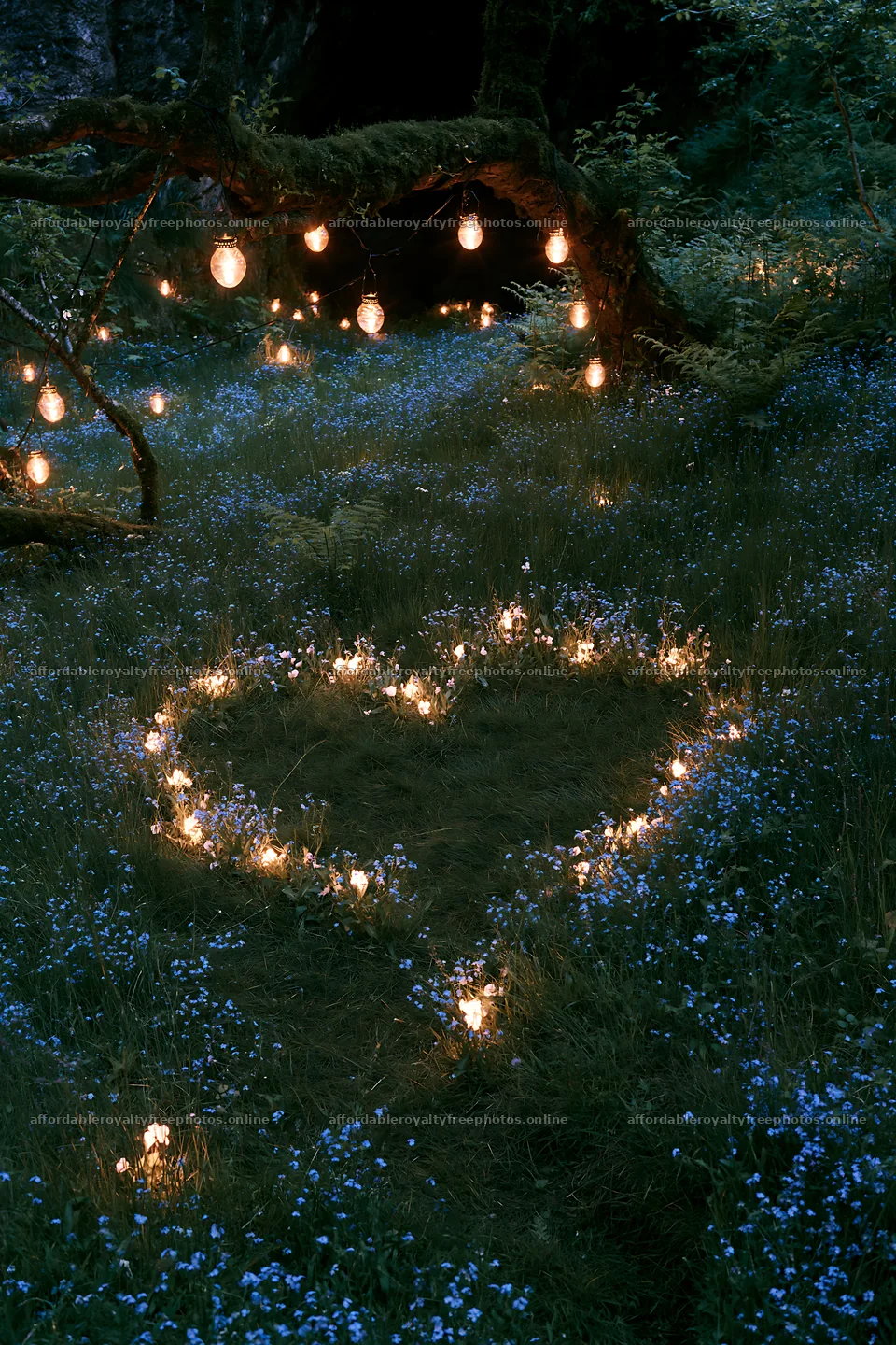 Christmas lanterns glowing in meadow by cave at dusk – royalty-free photos 6480x9722