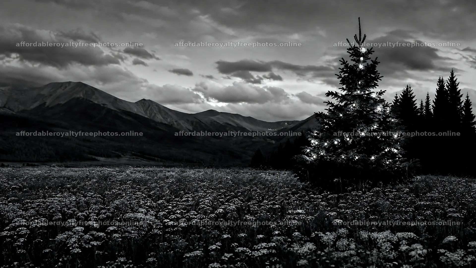 Decorated Christmas tree in mountain valley meadow – royalty-free photos 10584x5952