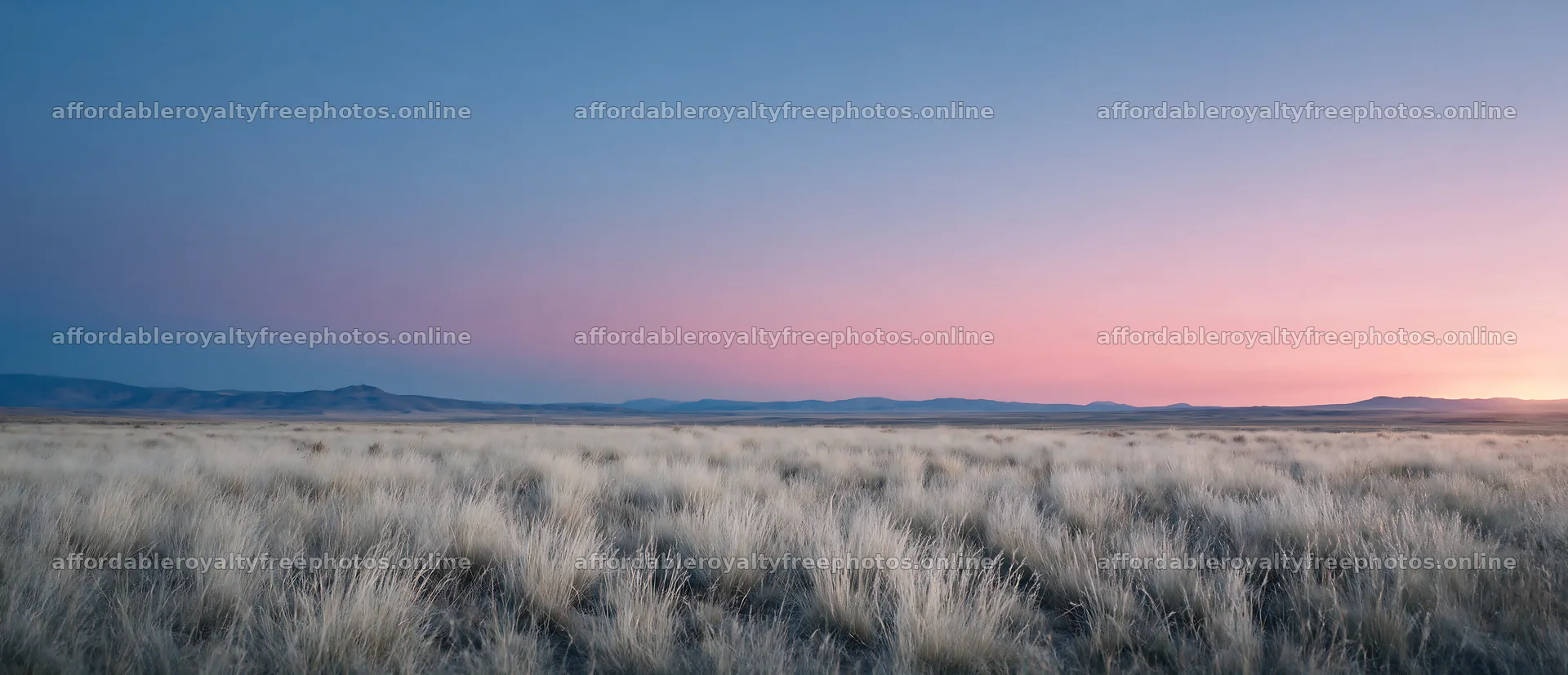 Drought-tolerant meadow under a colorful sky at sunset – royalty-free photos 12094x5210