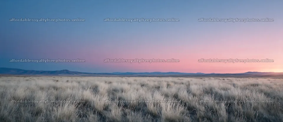 Drought-tolerant meadow under a colorful sky at sunset – royalty-free photos 12094x5210