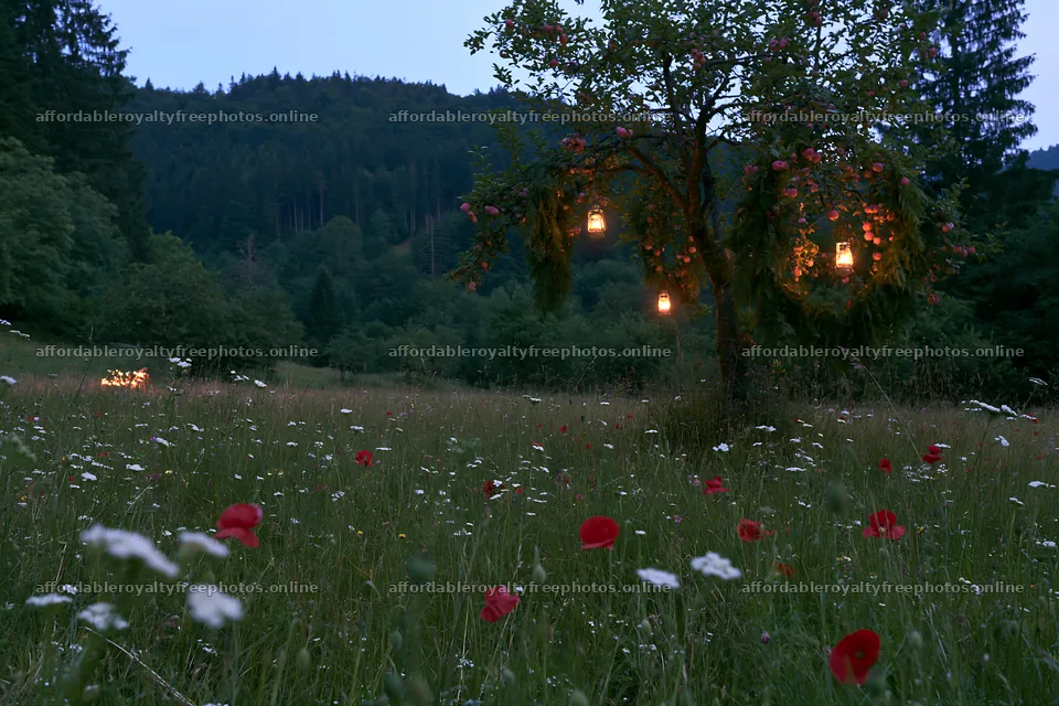 Christmas meadow with apple tree and garlands at dusk – royalty-free photos 9722x6480
