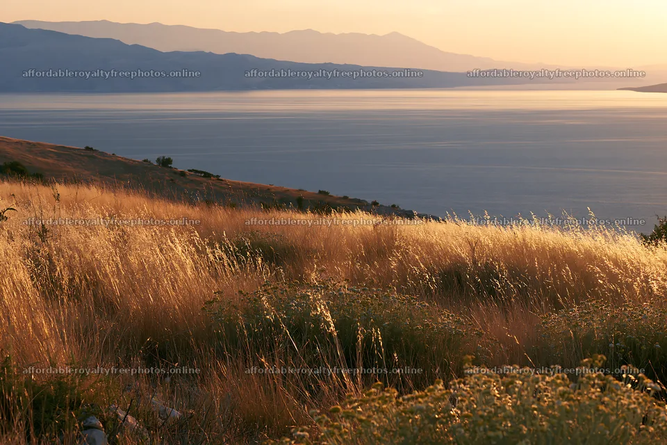 Meadow landscape above the Adriatic coast during sunset – royalty-free photos 9722x6480