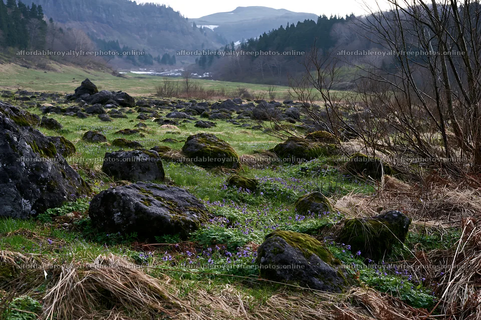 Miyagi spring recovery meadow mossy stone with rocky – royalty-free photos 9722x6480