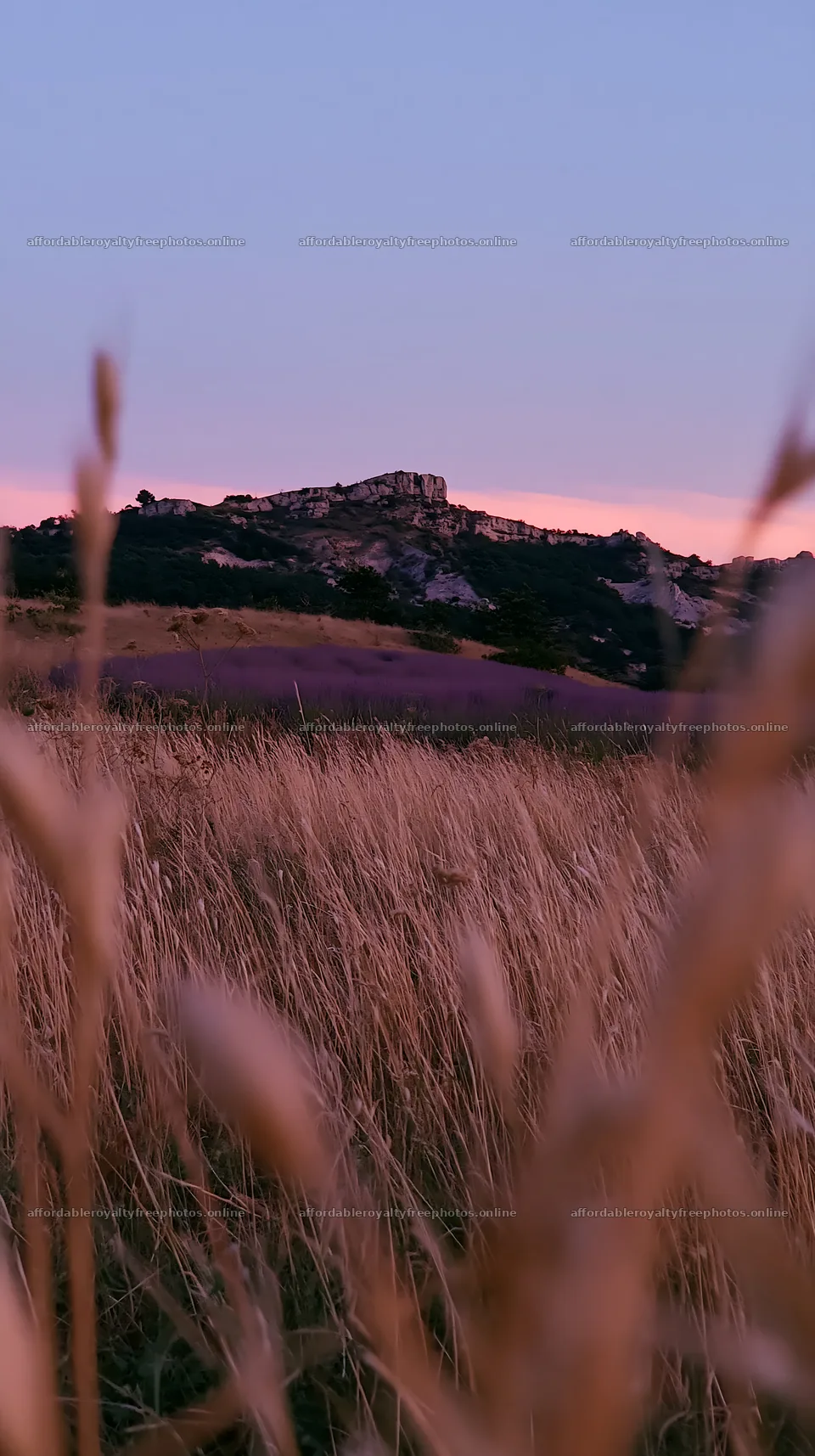 Drought-tolerant meadow with distant hills during sunset – royalty-free photos 5938x10608