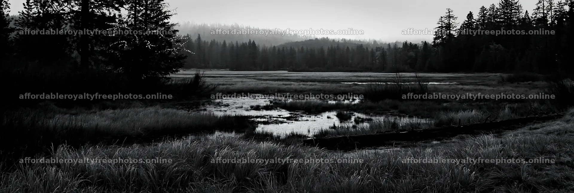 Expansive Christmas meadow with rainwater retention and – royalty-free photos 13690x4602