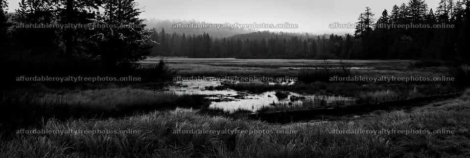 Expansive Christmas meadow with rainwater retention and – royalty-free photos 13690x4602