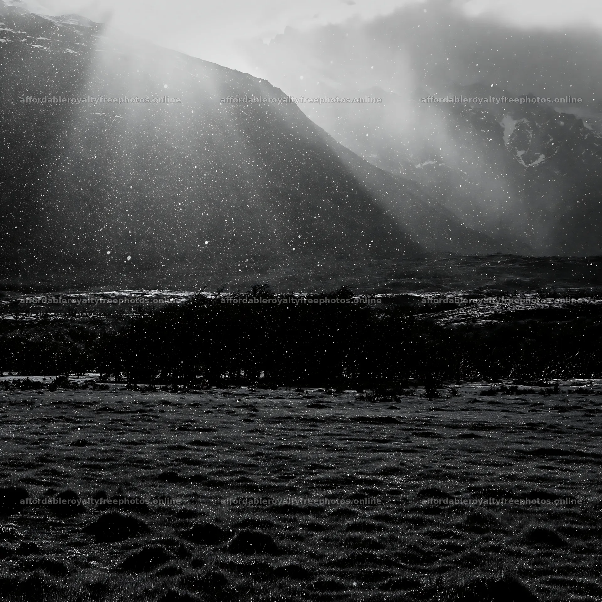 Snowfall in Torres del Paine meadow with mountains in – royalty-free photos 7938x7938