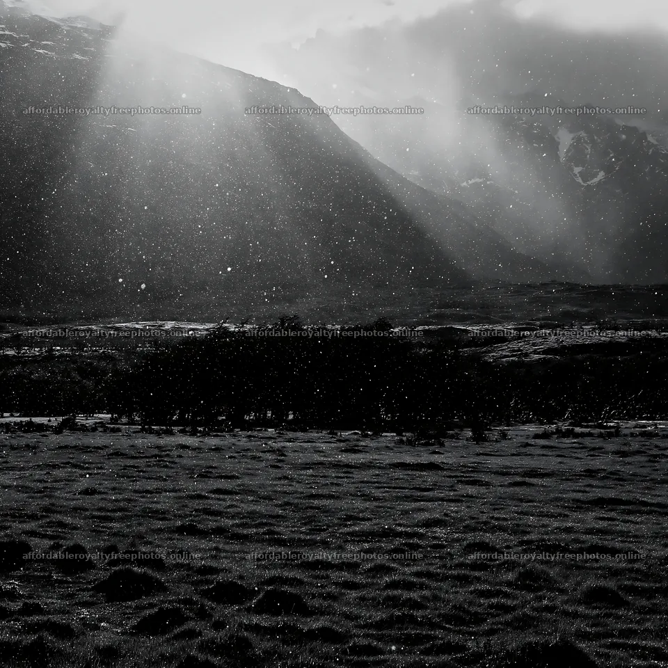Snowfall in Torres del Paine meadow with mountains in – royalty-free photos 7938x7938