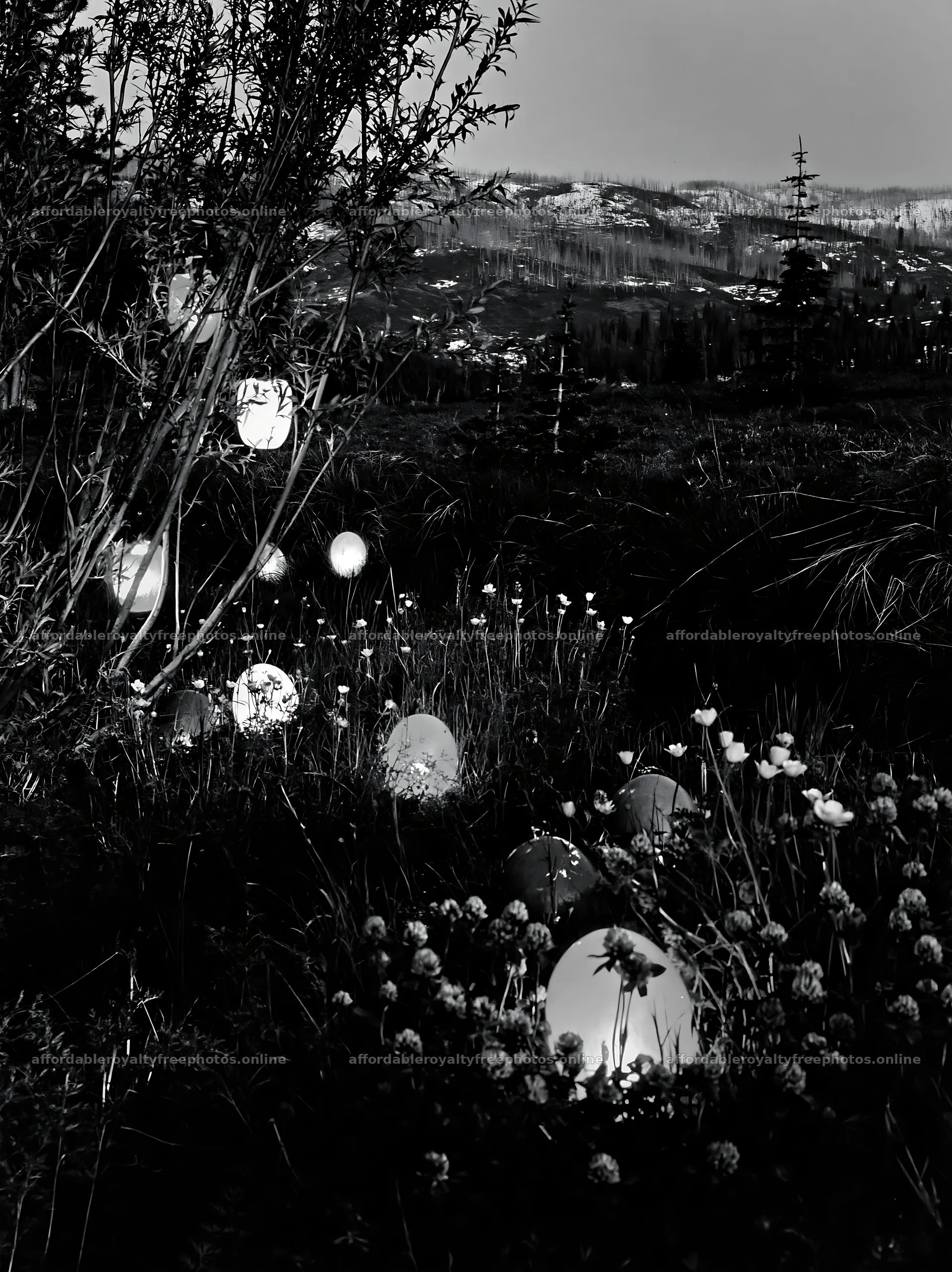 Christmas lanterns beside stream in meadow at dusk – royalty-free photos 6866x9174