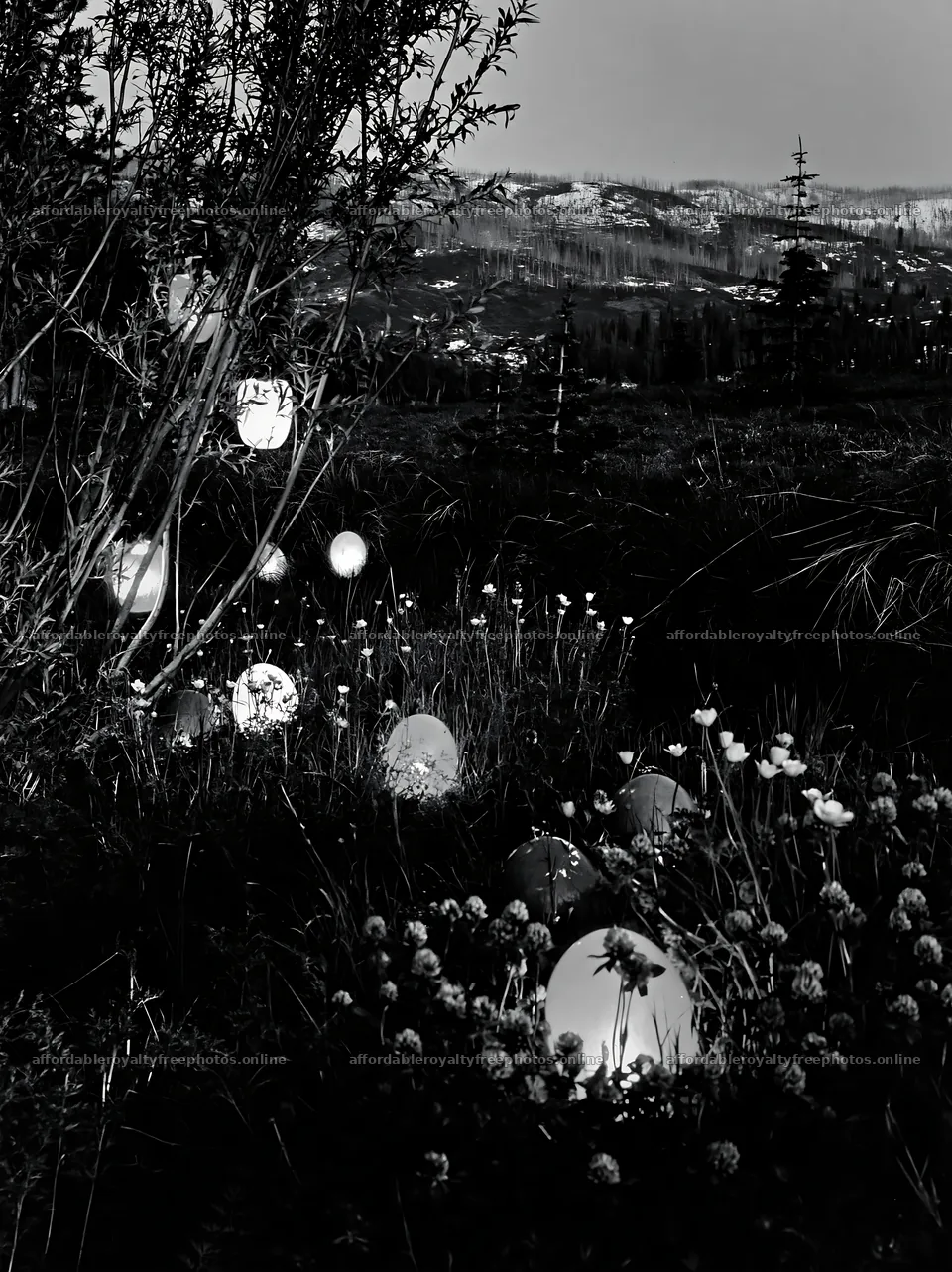 Christmas lanterns beside stream in meadow at dusk – royalty-free photos 6866x9174