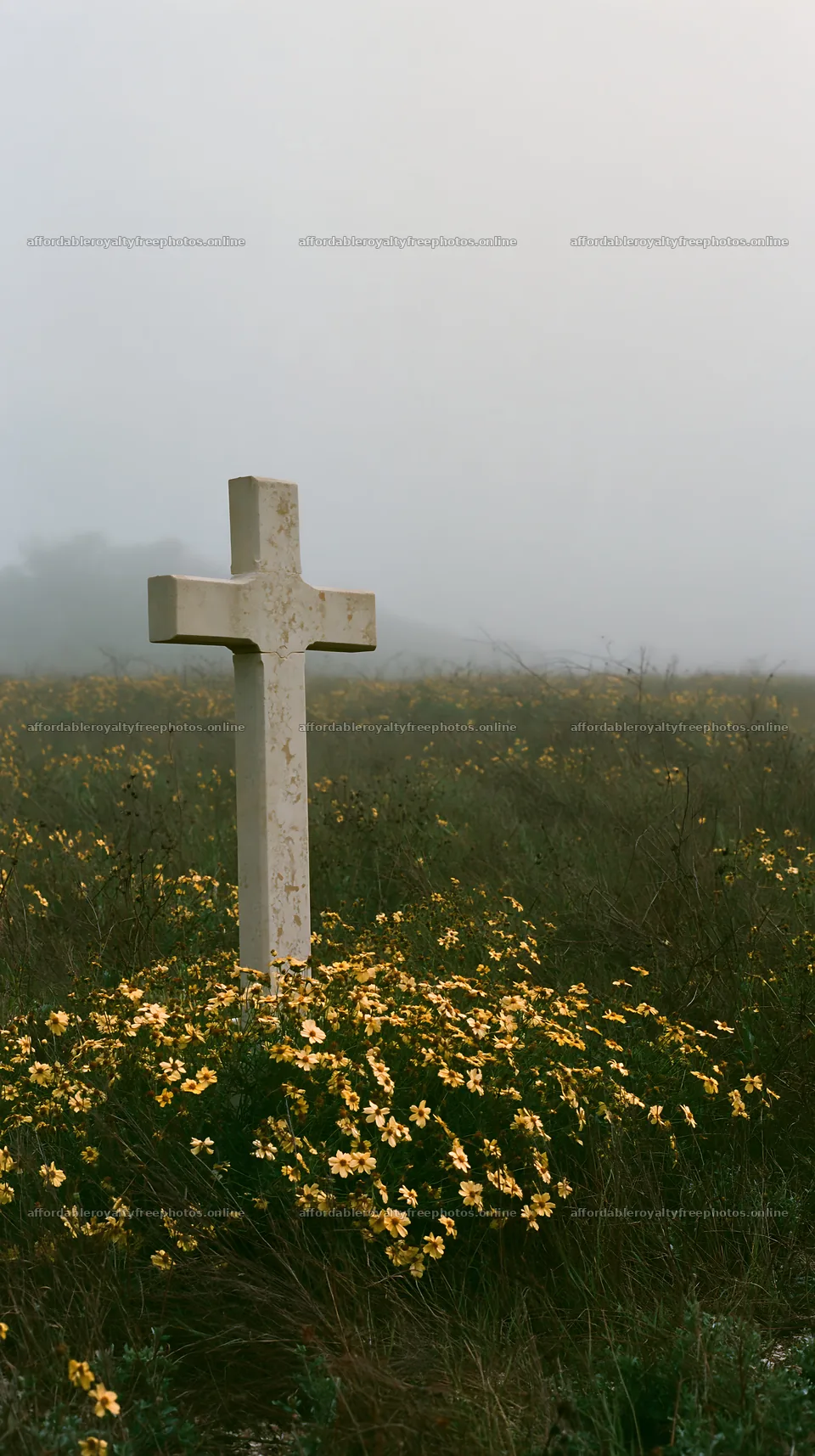 Cross among yellow wildflowers in a misty field – royalty-free photos 5938x10608