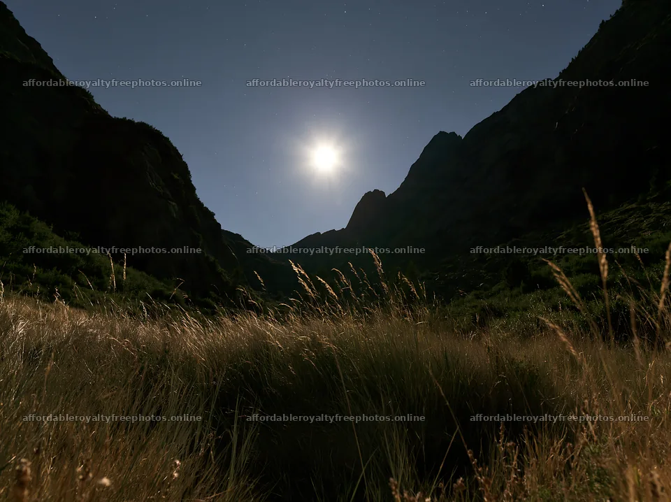 Meadow under crags with moonlight at night – royalty-free photos 9174x6866