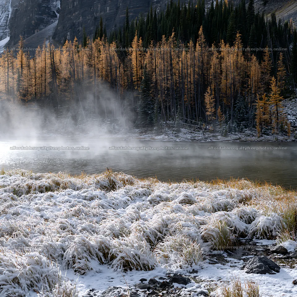 Snowy lakeside meadow with mist in early morning light – royalty-free photos 7938x7938