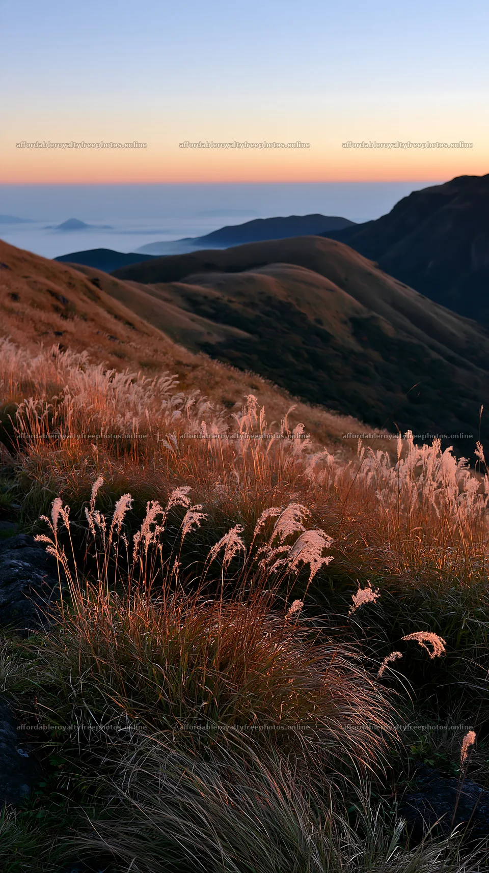 Oita highland meadow with granite stones at sunset – royalty-free photos 5938x10608