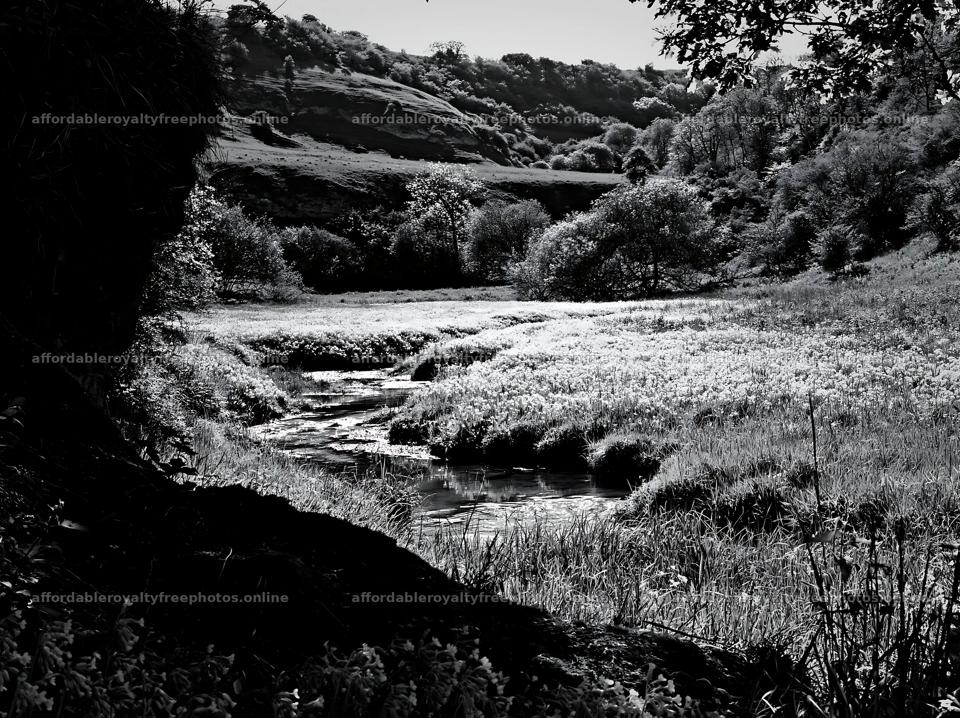 High contrast brook meadow with flowing water – royalty-free photos 9174x6866
