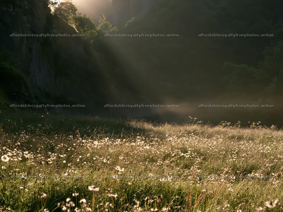 Meadow beneath crags with soft light filtering through – royalty-free photos 9174x6866
