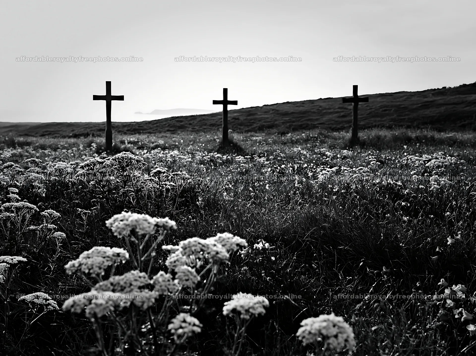 Three Christian crosses in a meadow with flowers – royalty-free photos 9174x6866