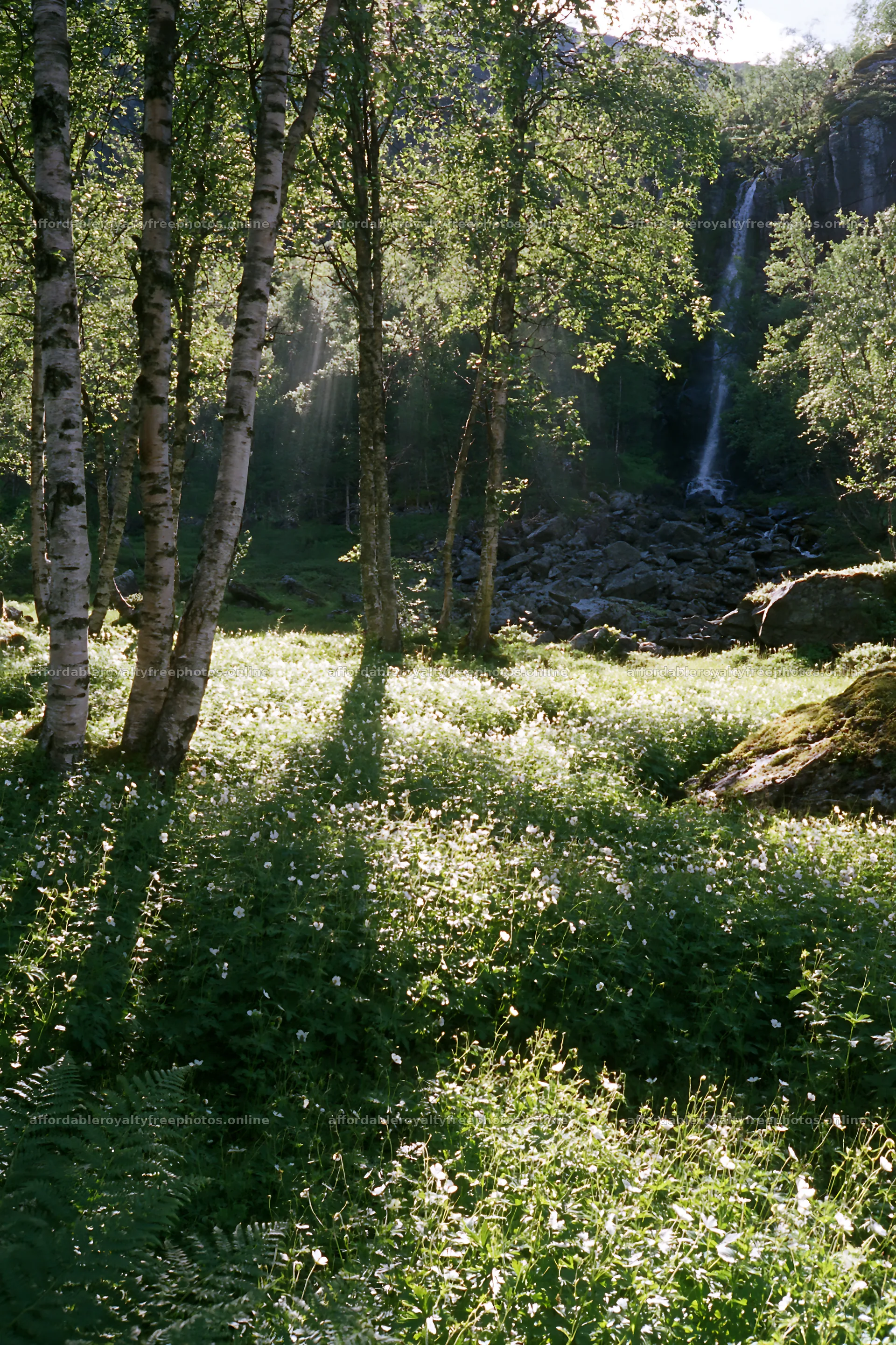 Sunbeams shining on meadow in Jotunheimen valley – royalty-free photos 6480x9722