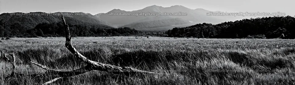 Yamagata rewilded meadow with fallen branch in the – royalty-free photos 14762x4268