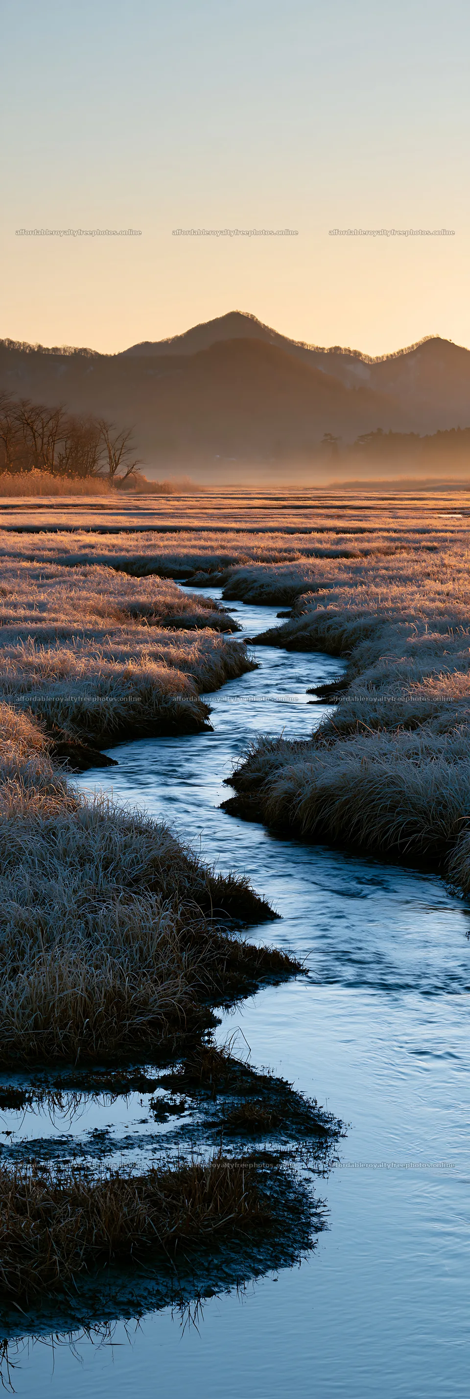 Akita snowmelt meadow with silver grasses near a gentle – royalty-free photos 4602x13690
