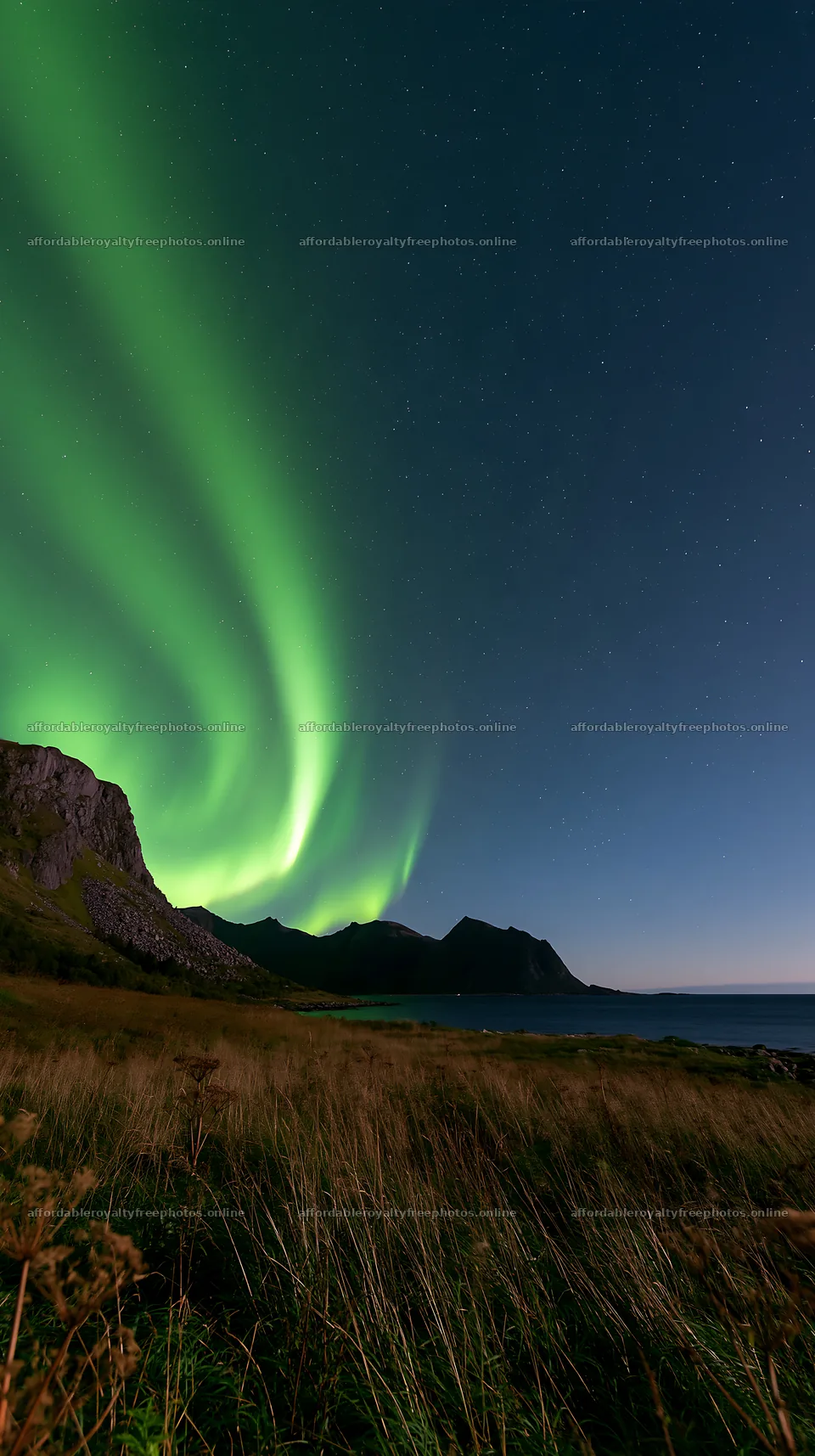 Fjord meadow under northern lights at night – royalty-free photos 5938x10608