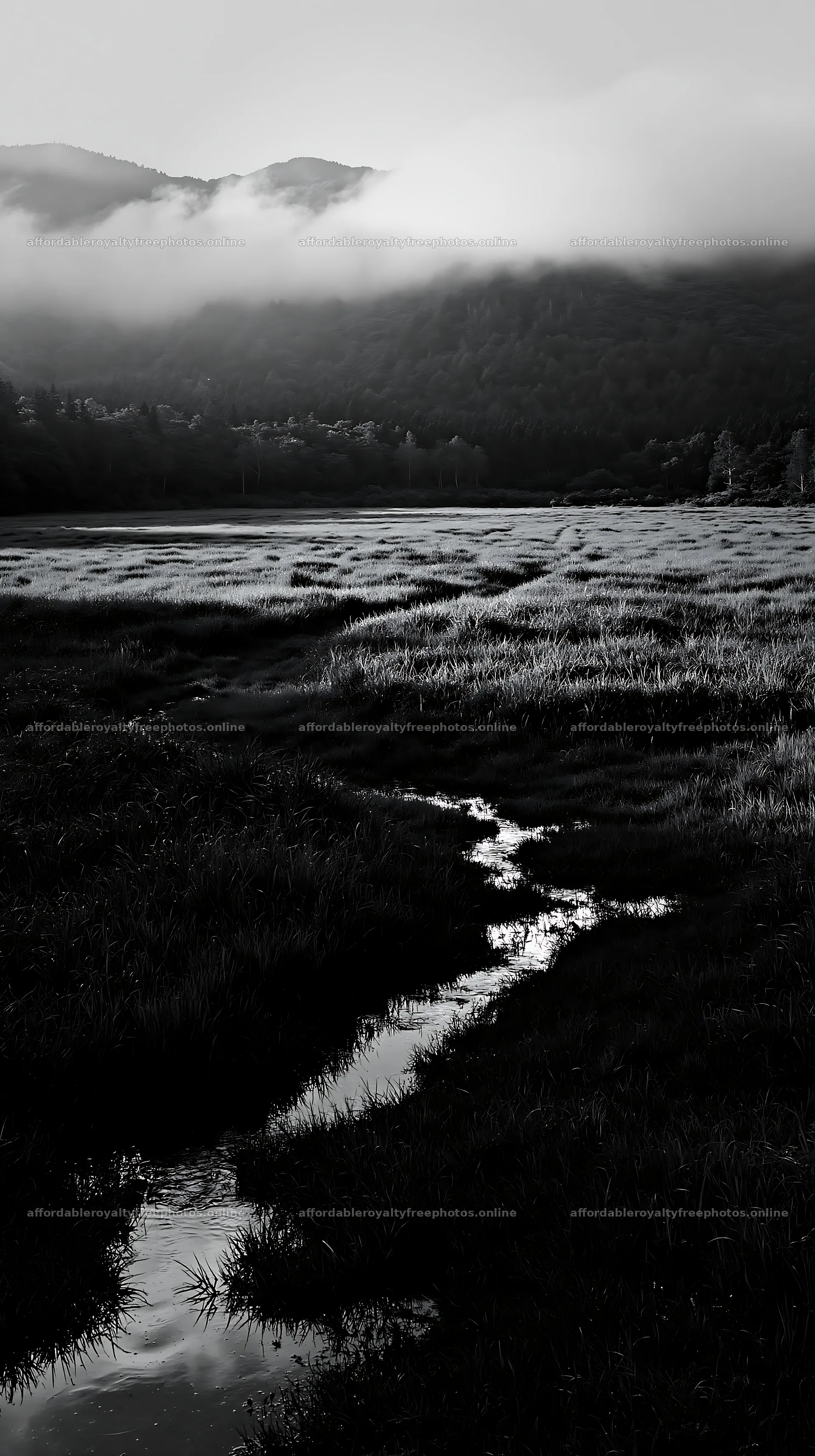 Shizuoka seasonal meadow after heavy rain in black and – royalty-free photos 5938x10608