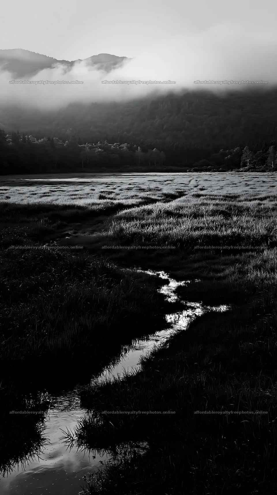 Shizuoka seasonal meadow after heavy rain in black and – royalty-free photos 5938x10608