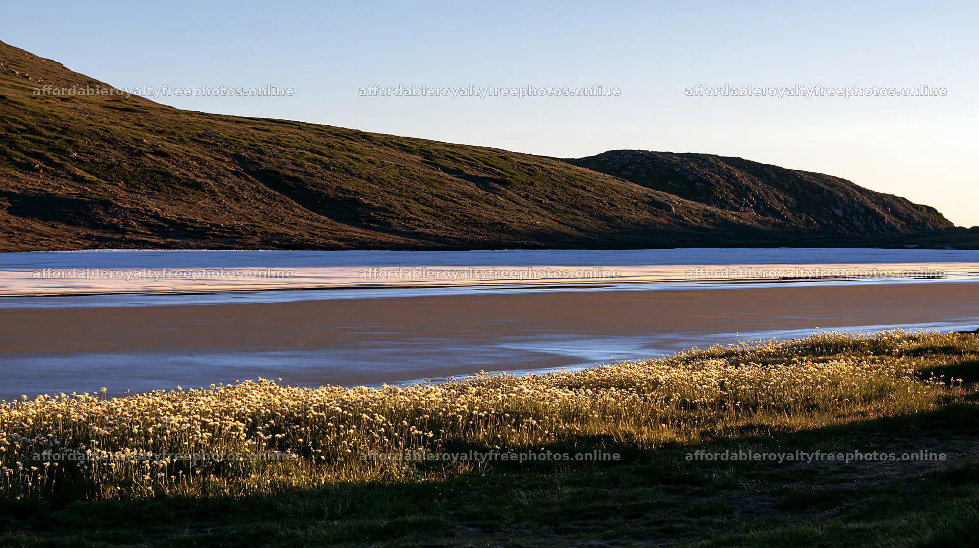 Frozen tarn meadow with flowers under soft sunlight – royalty-free photos 10608x5938