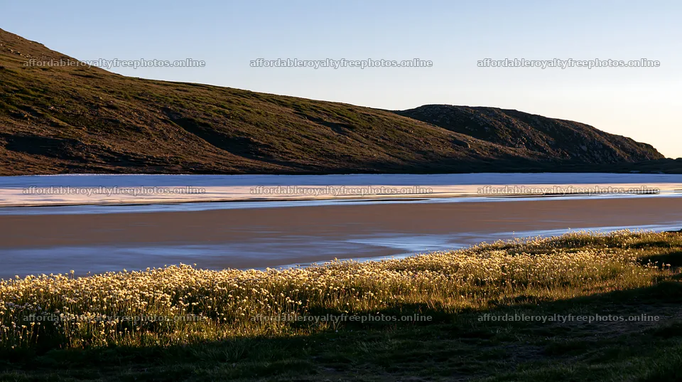 Frozen tarn meadow with flowers under soft sunlight – royalty-free photos 10608x5938