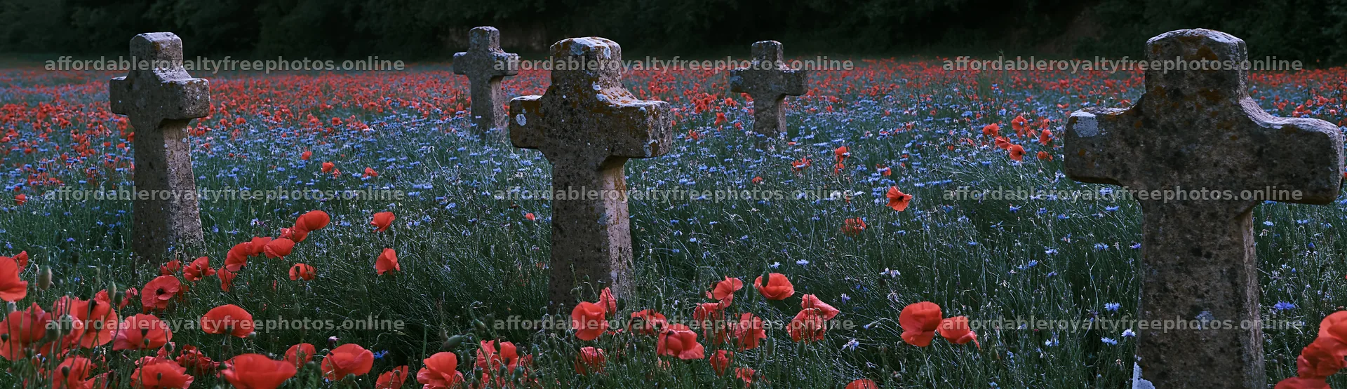 Four Christian crosses in a meadow with flowers – royalty-free photos 14762x4268