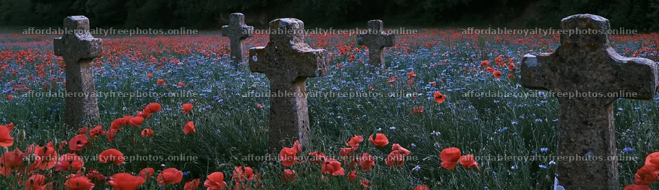 Four Christian crosses in a meadow with flowers – royalty-free photos 14762x4268