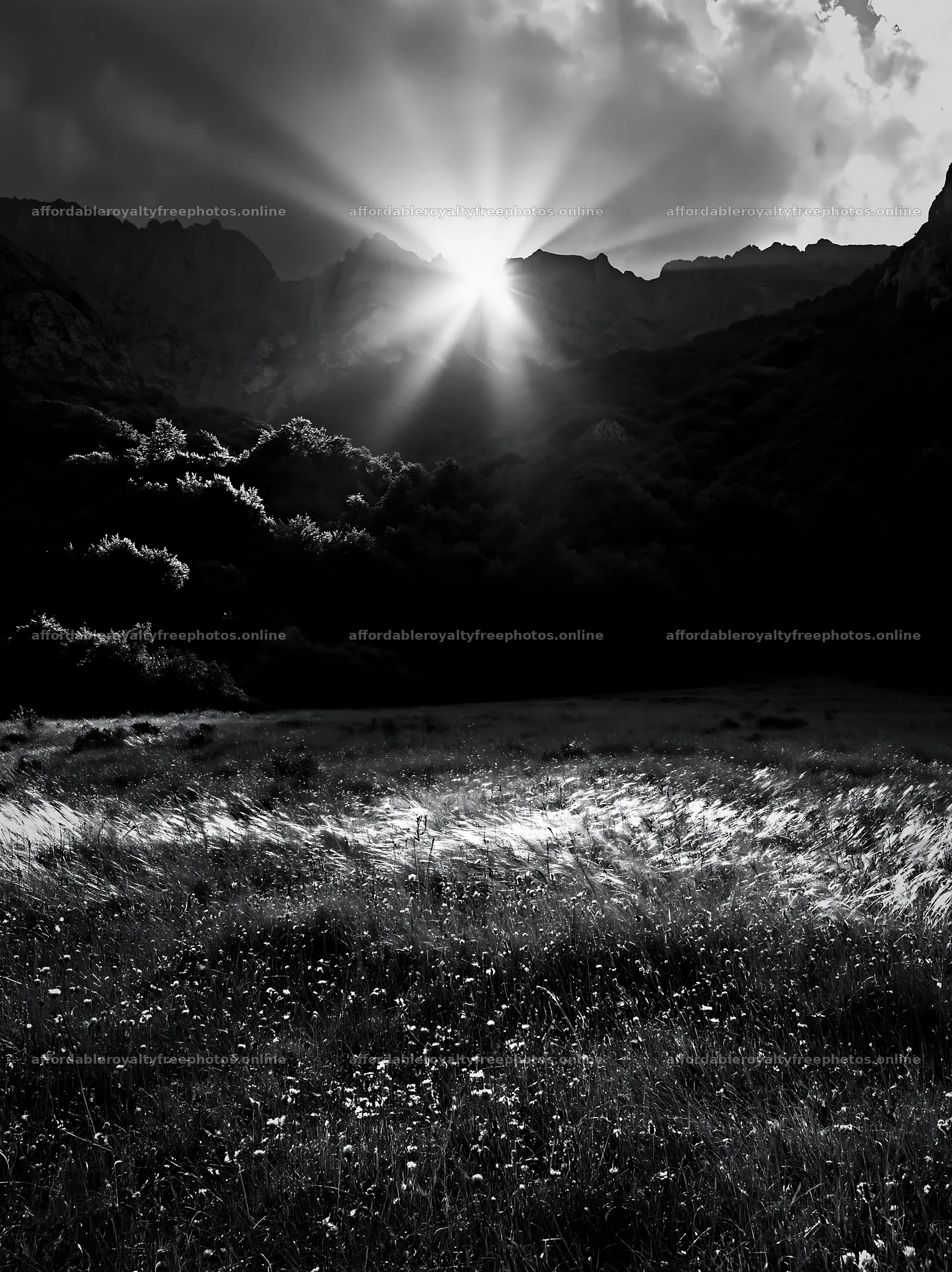 Sun rays shining over meadow in Picos de Europa – royalty-free photos 6866x9174