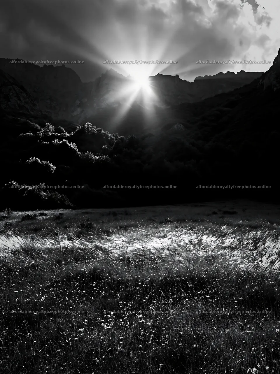 Sun rays shining over meadow in Picos de Europa – royalty-free photos 6866x9174