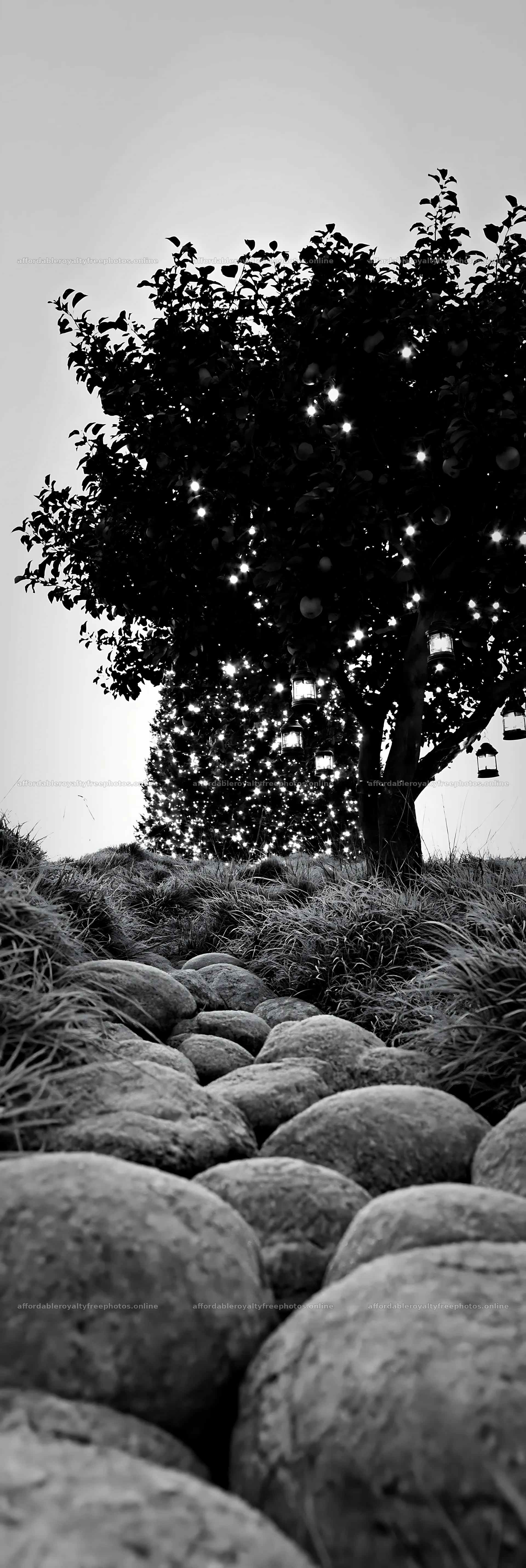 Christmas apple tree in meadow with frosted stones and – royalty-free photos 4602x13690
