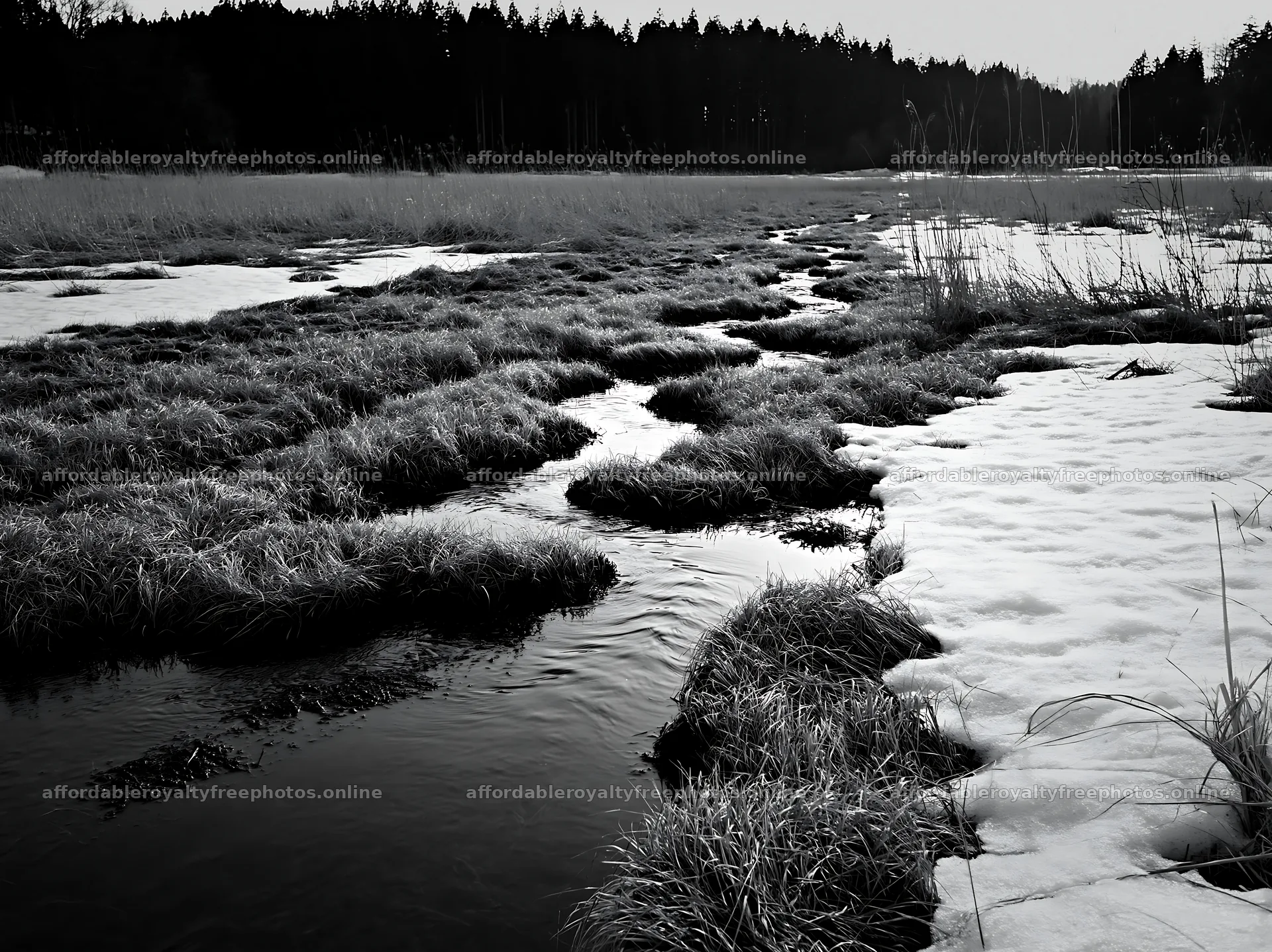 Akita snowmelt meadow with silver grasses beside a – royalty-free photos 9174x6866