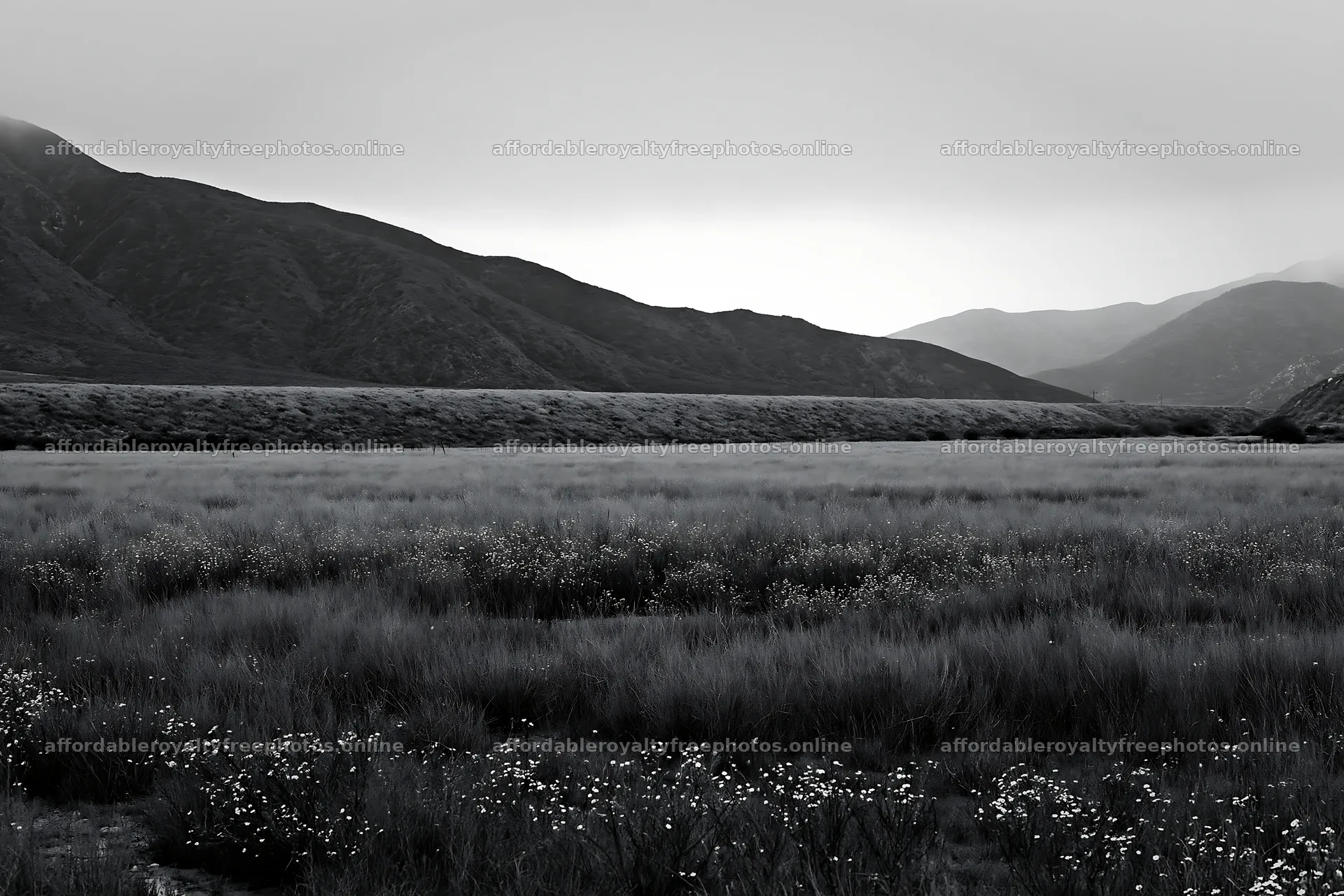 Cloudy foothill meadow with low grass and distant – royalty-free photos 9722x6480