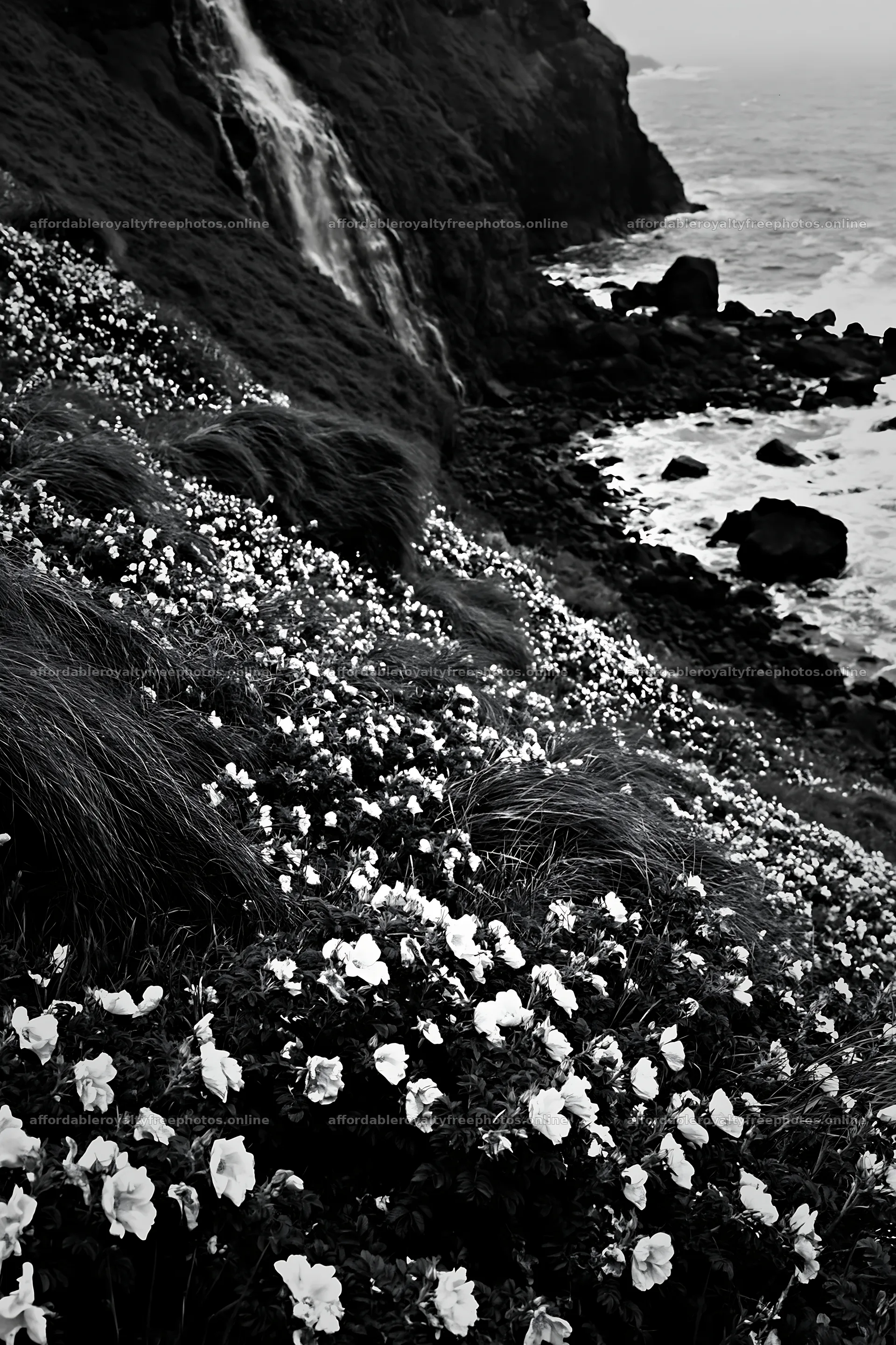 Wild rose meadow below cascading waterfall by rocky shore – royalty-free photos 6480x9722