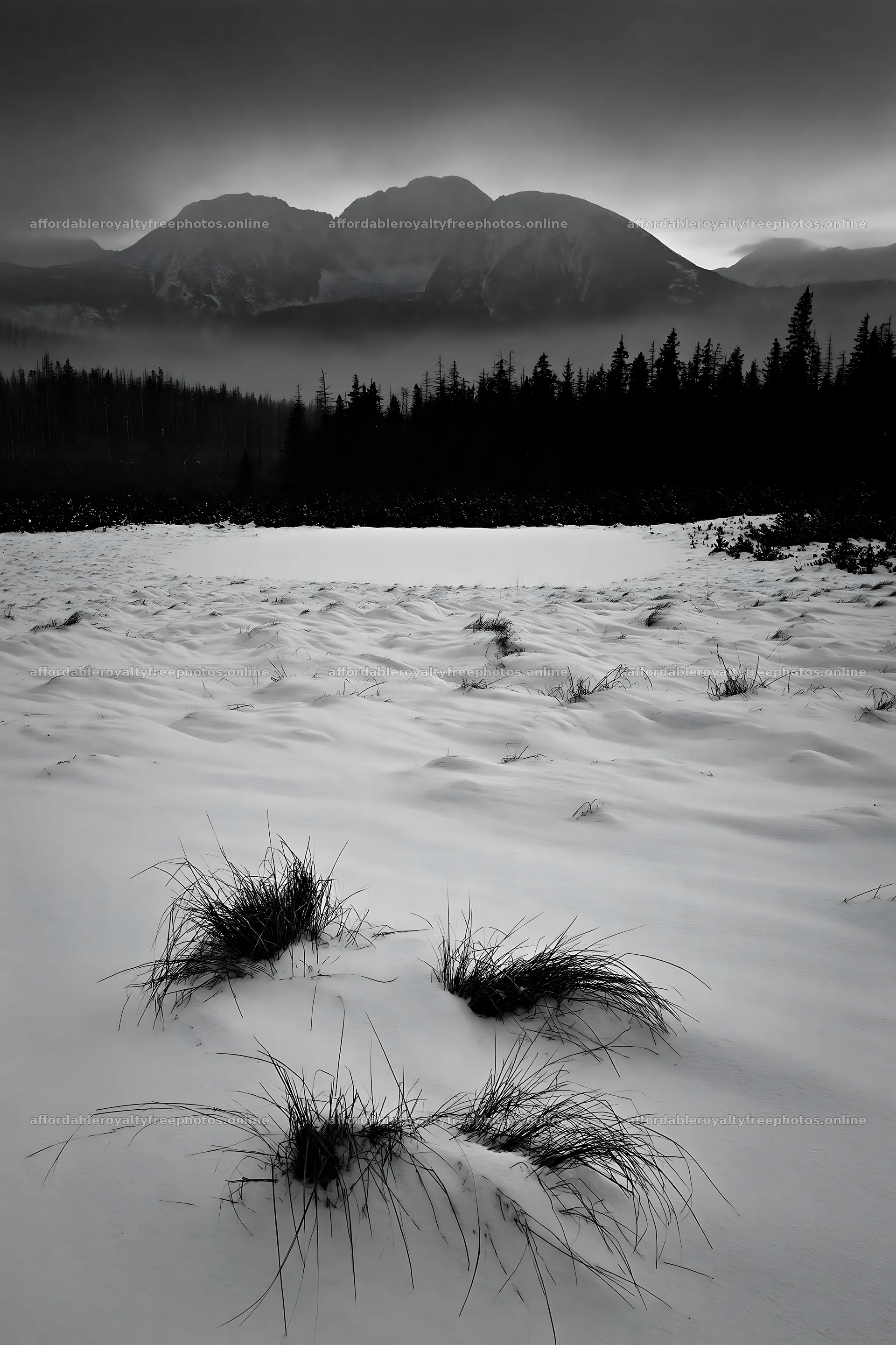 Snowbound meadow with grass and mountains in the – royalty-free photos 6480x9722