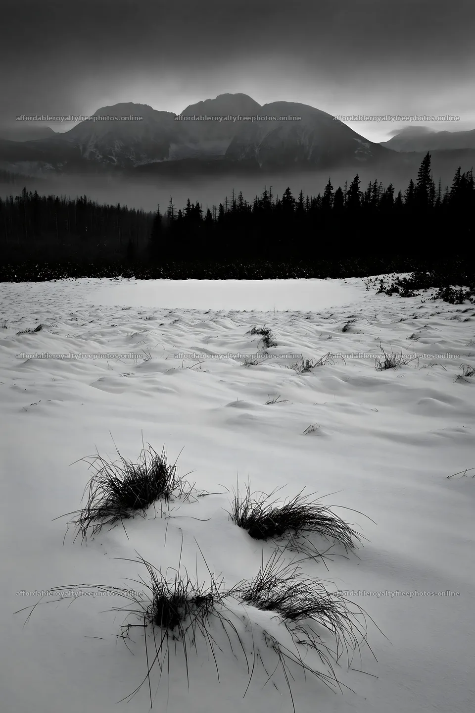 Snowbound meadow with grass and mountains in the – royalty-free photos 6480x9722