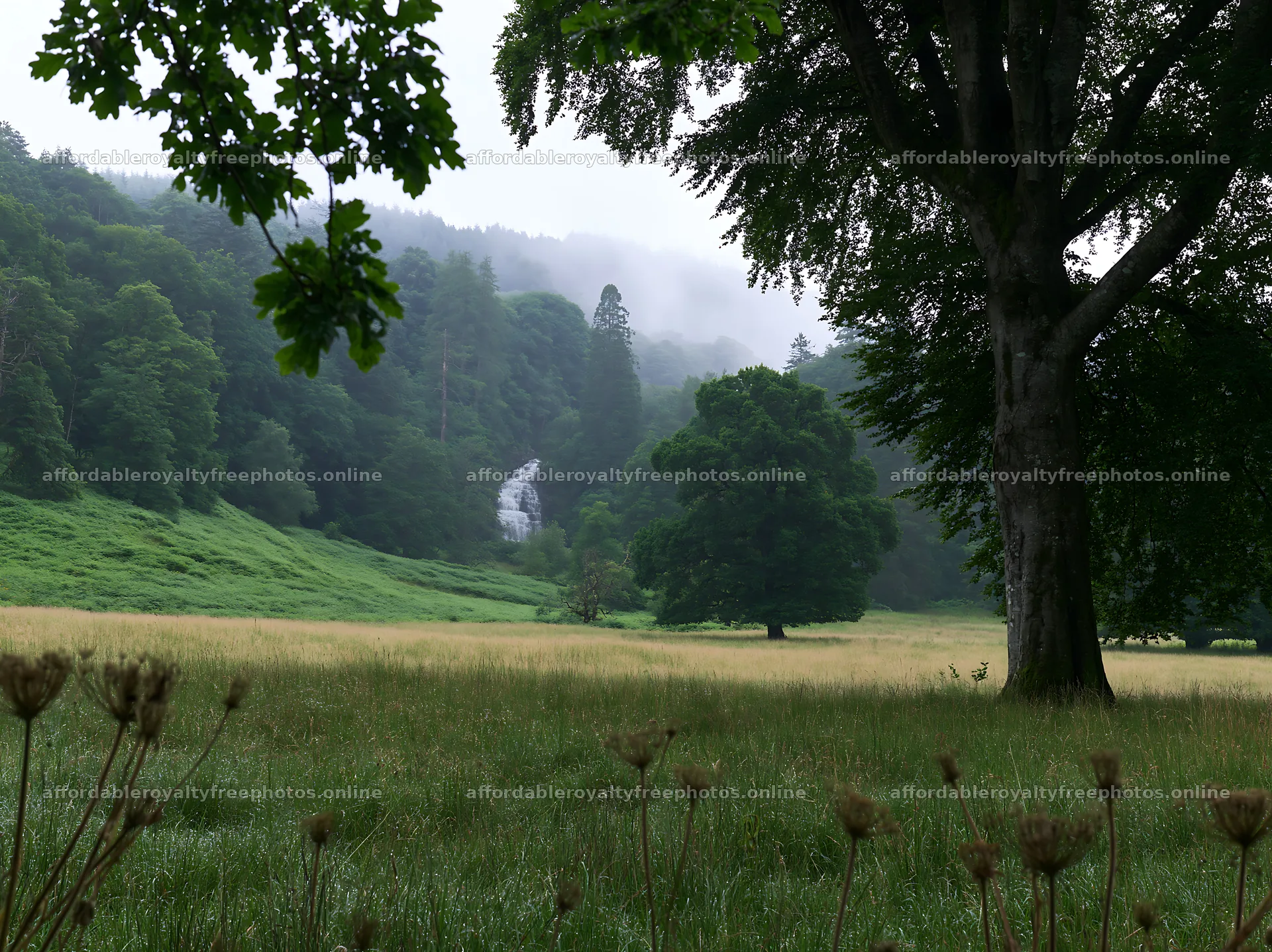 Meadow with a visible cascade in a green landscape – royalty-free photos 9174x6866
