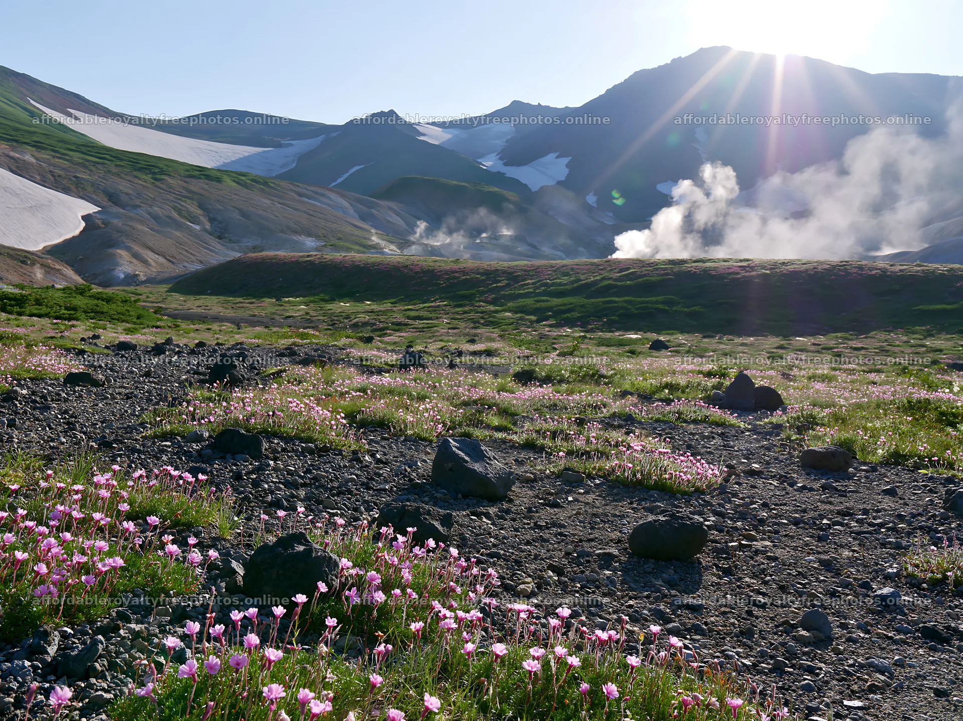 Daisetsuzan alpine meadow with light rays and blooming – royalty-free photos 9174x6866