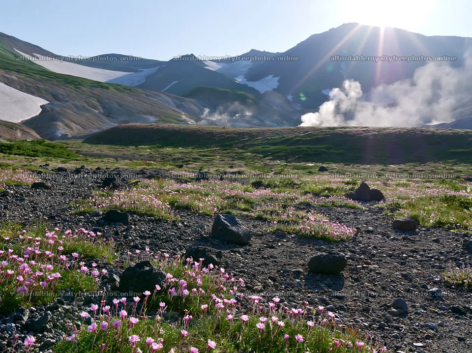 Daisetsuzan alpine meadow with light rays and blooming – royalty-free photos 9174x6866