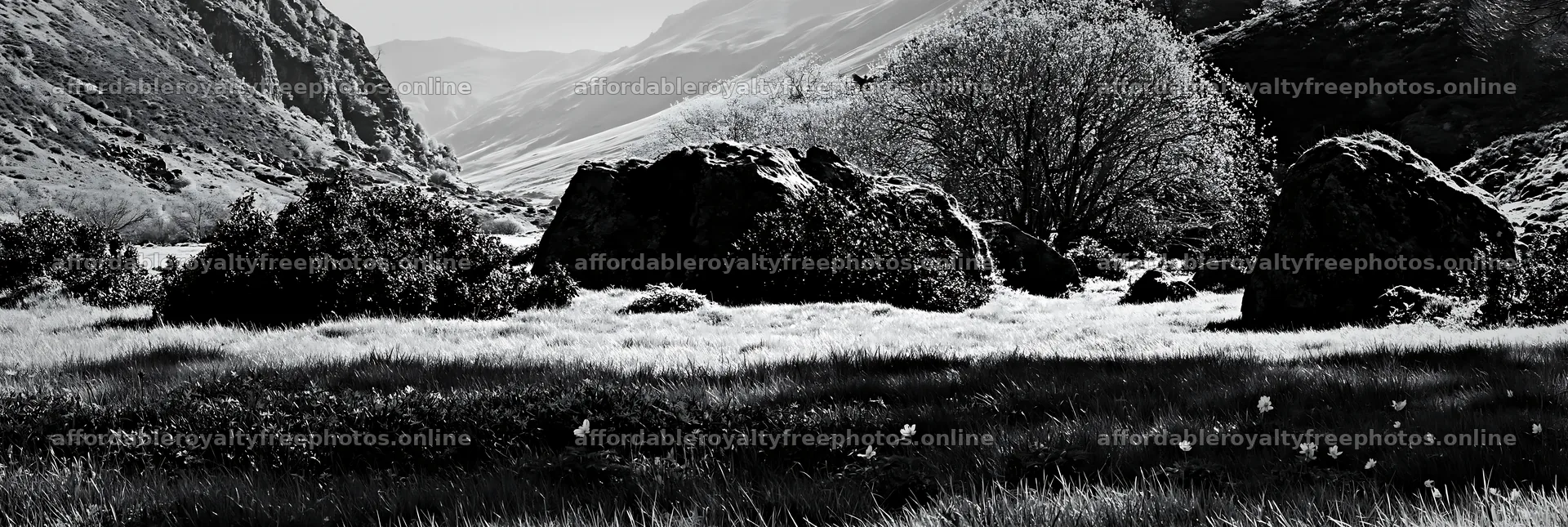 Climate-resilient meadow with large rocks and distant – royalty-free photos 13690x4602