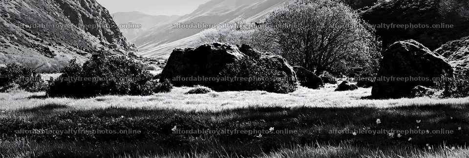 Climate-resilient meadow with large rocks and distant – royalty-free photos 13690x4602