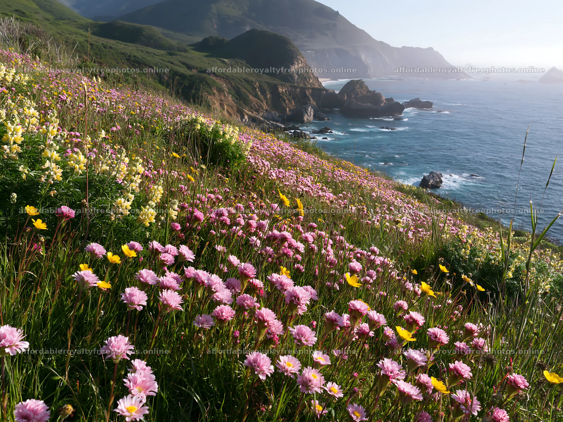 Meadow with wildflowers beneath crags and ocean view – royalty-free photos 9174x6866