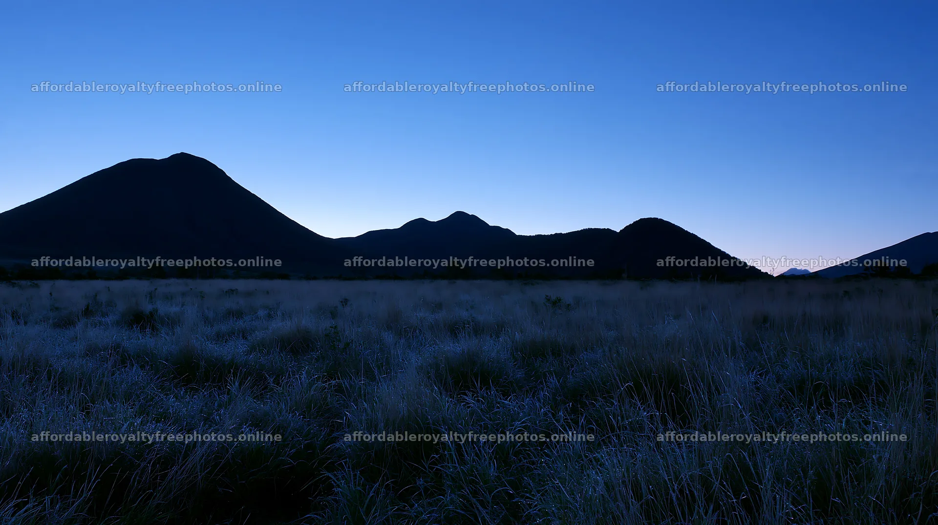 Expansive Hokkaido restoration meadow with dewdrops – royalty-free photos 10608x5938