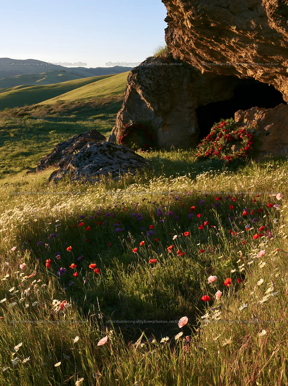 Christmas wreaths near cave in meadow with flowers – royalty-free photos 6866x9174