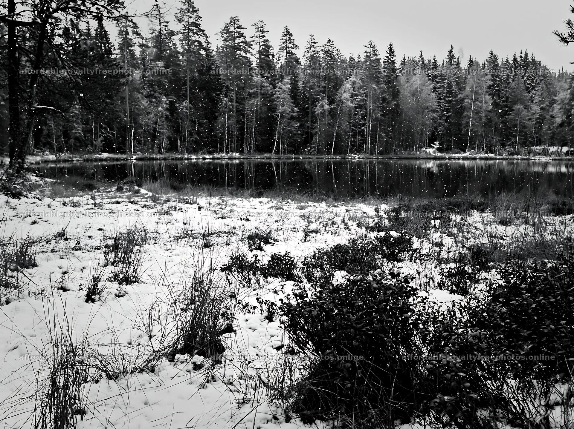 Lakeside meadow after first snowfall – royalty-free photos 9174x6866
