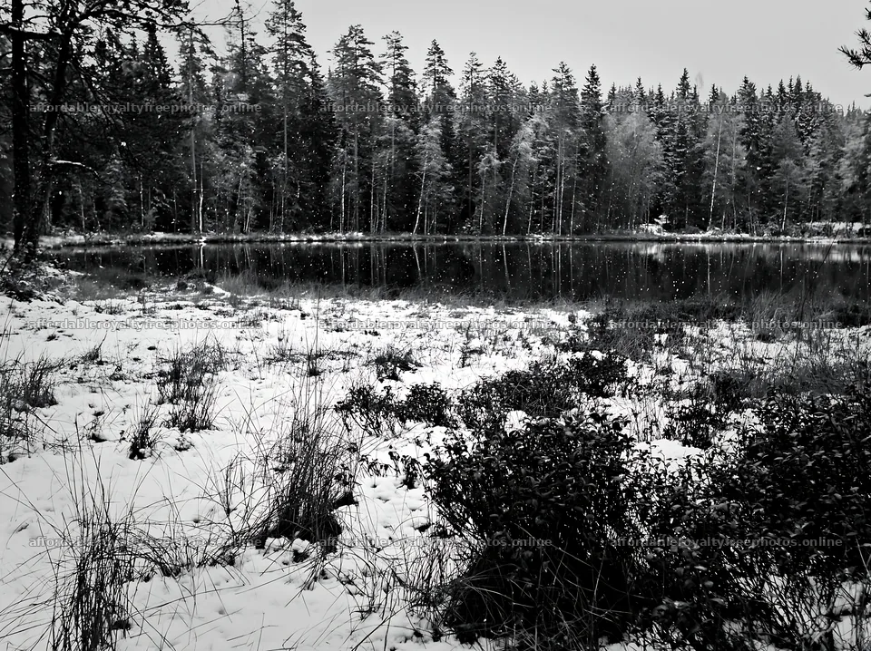 Lakeside meadow after first snowfall – royalty-free photos 9174x6866