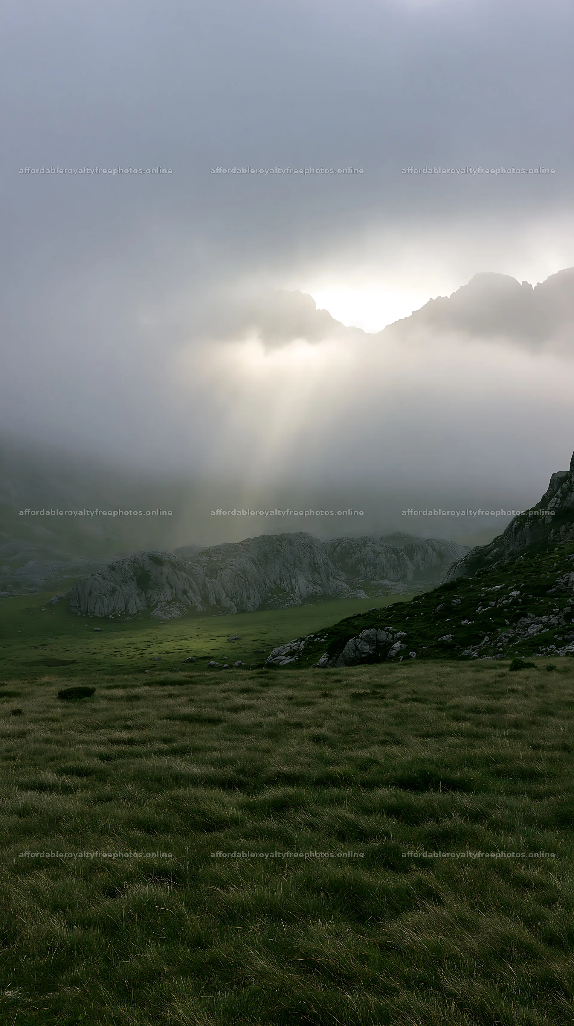Sunrays break through fog in Picos de Europa meadow – royalty-free photos 5938x10608